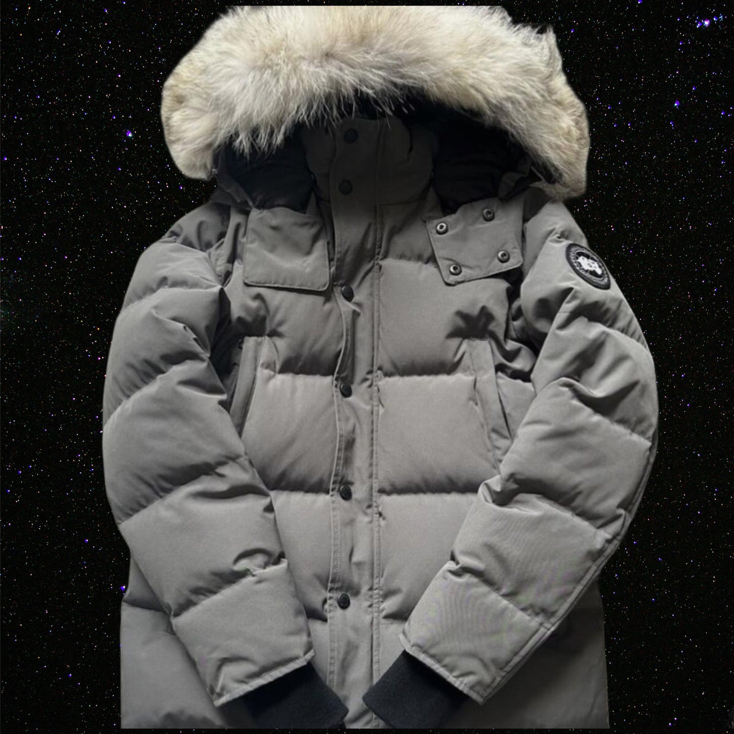 TDZ- CD wyndham parka