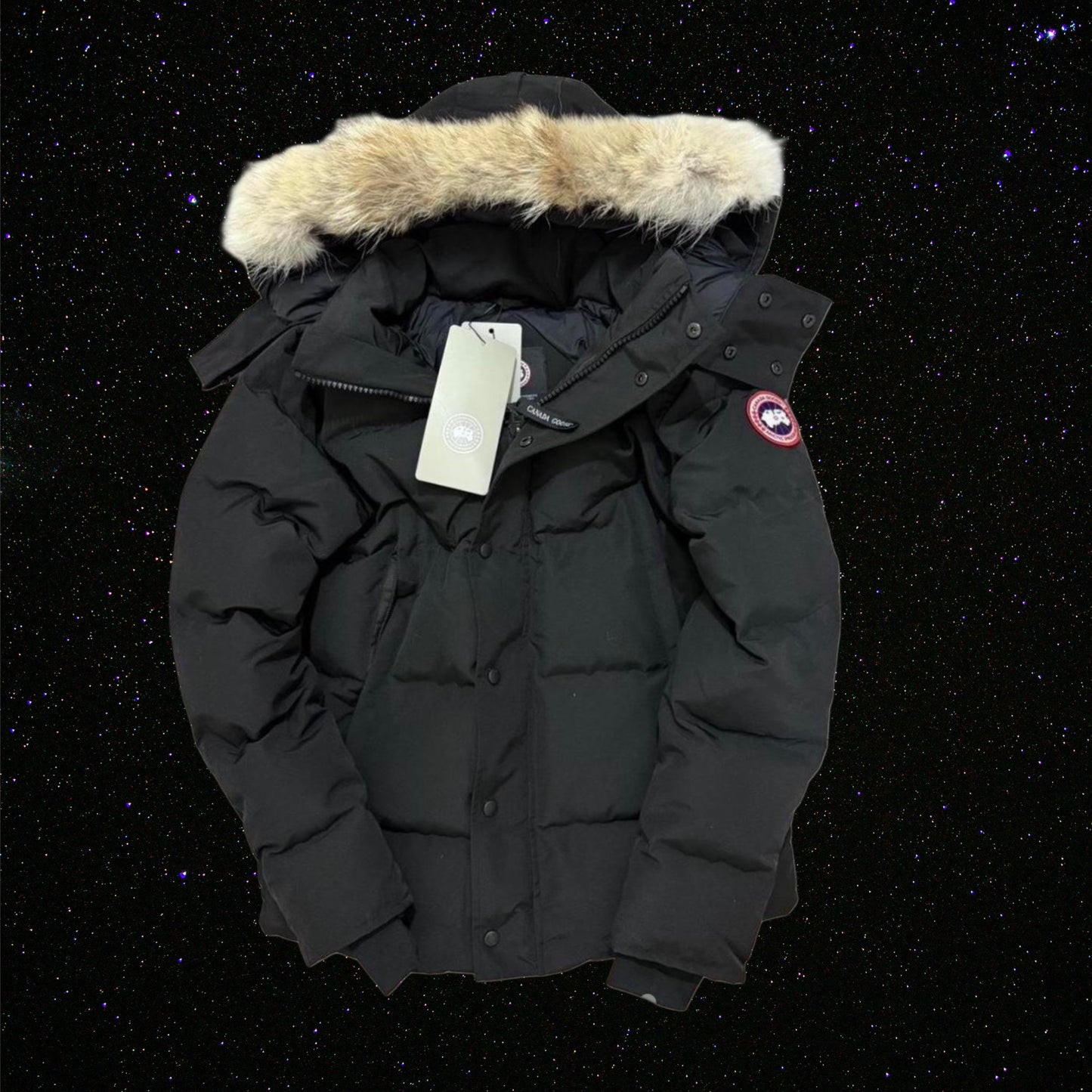 TDZ- CD wyndham parka