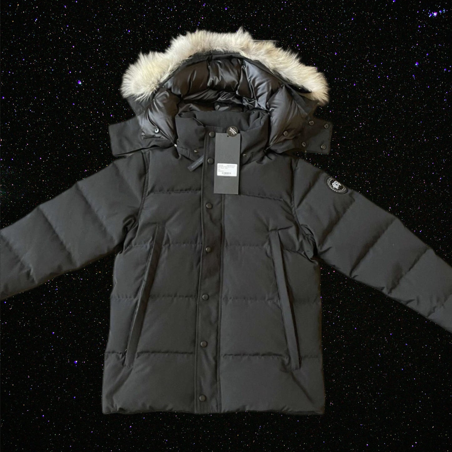 TDZ- CD wyndham parka